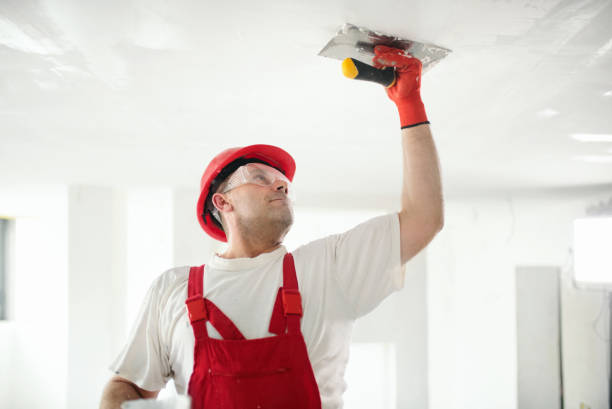 Reliable Van Vleck, TX Mold Removal Solutions